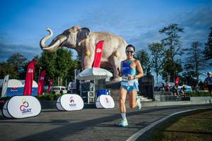 BIB: 
                            <button type="button" onclick="openModal(26541626)" class="btn btn-primary btn-sm float-right btn-popup" data-toggle="modal" data-target=".modal-high-quality">
                        <i class="fas fa-shopping-cart"></i> Add to Cart
                    </button>
                                            <button type="button" onclick="isThisMe(26541626, true)" class="btn btn-success btn-sm float-right btn-popup btn-isme hidden" data-toggle="tooltip" data-placement="bottom" title="นี่คือรูปของคุณใช่ไหม คลิกที่นี่เพื่อเอาเข้าอัลบั้ม">
                        <i class="fas fa-plus"></i> Add to album
                    </button>
                    <button type="button" onclick="isThisMe(26541626, false)" class="btn btn-warning btn-sm float-right btn-popup btn-isnotme hidden">
                        <i class="fas fa-ban"></i> Remove from album
                    </button>